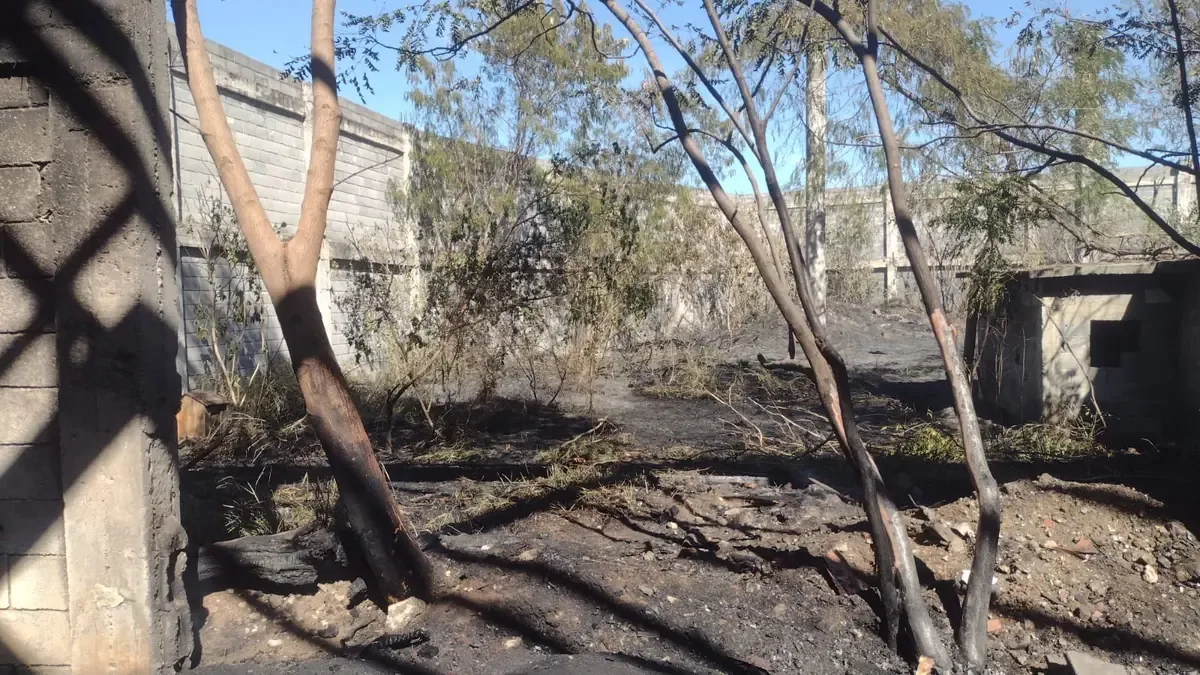 La rápida respuesta de Bomberos evitó la propagación del fuego y no hubo lesionados.
