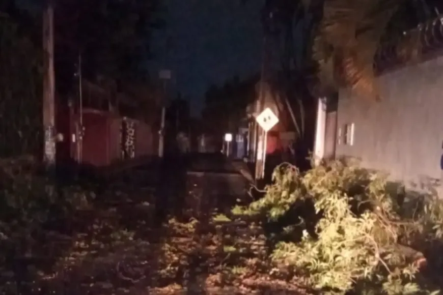 La rápida respuesta de los bomberos aseguró la seguridad en la colonia Acapantzingo tras el incidente.