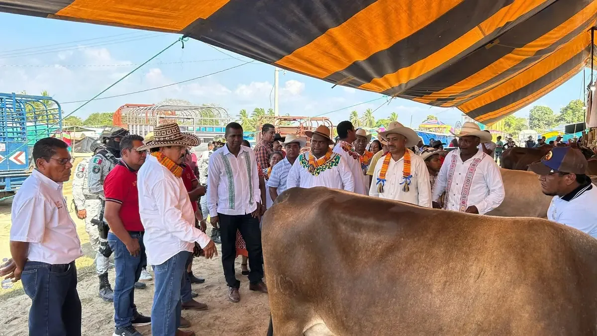 La Secretaría de Cultura, Ganadería, Pesca y Rural investiga casos de miasis en ganado, siguiendo protocolos de salud.