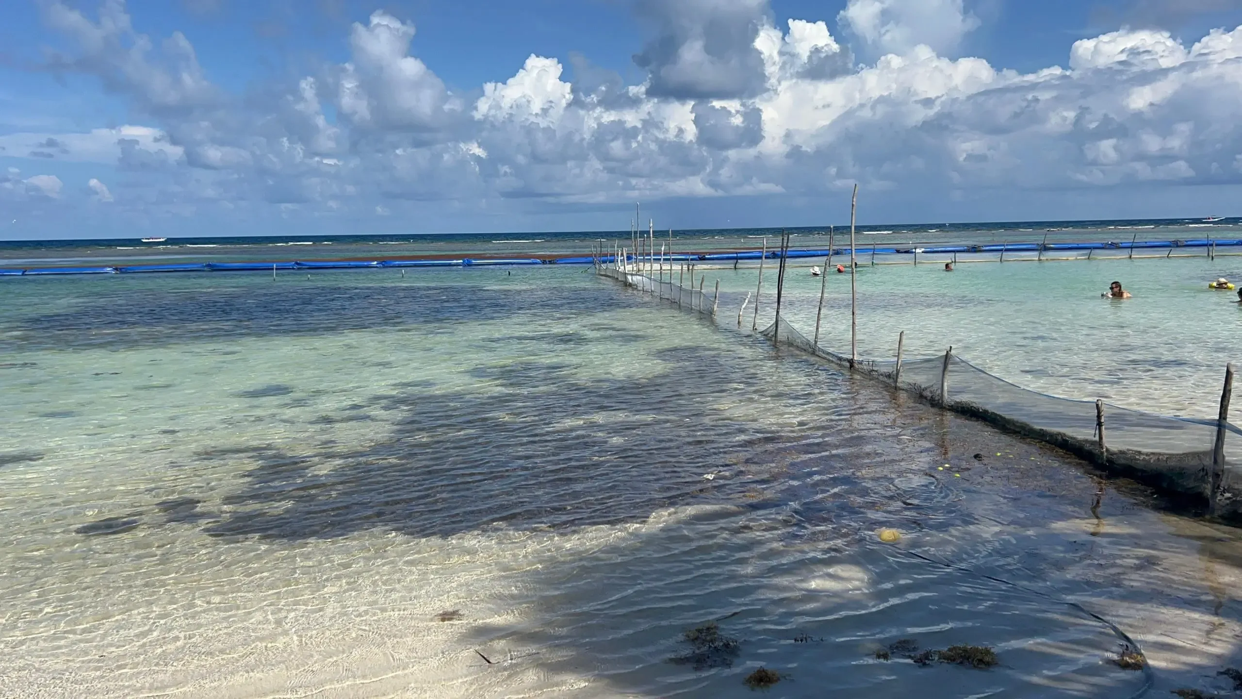 La Secretaría de Marina anuncia la restauración de barreras contra sargazo en Quintana Roo.