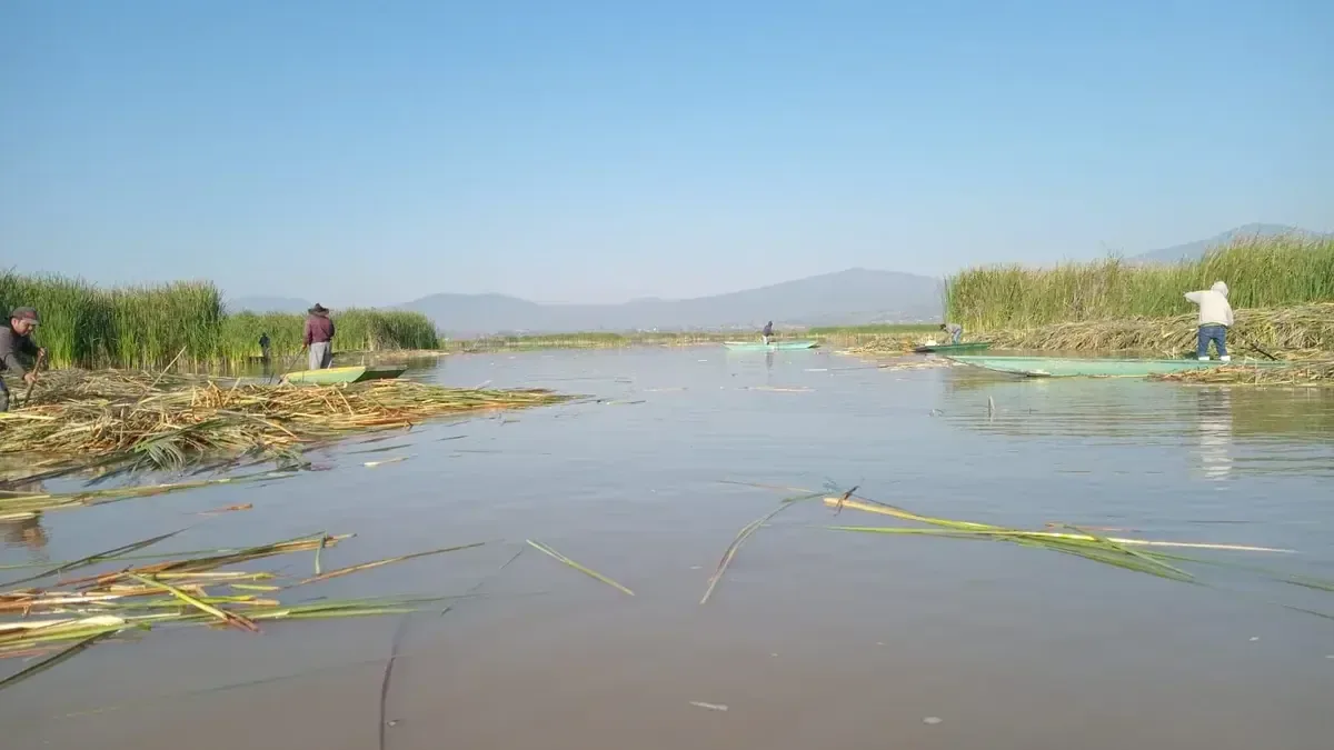 La colaboración entre Compesca y la Secretaría de Marina mejora las condiciones del lago y revitaliza su ecosistema.