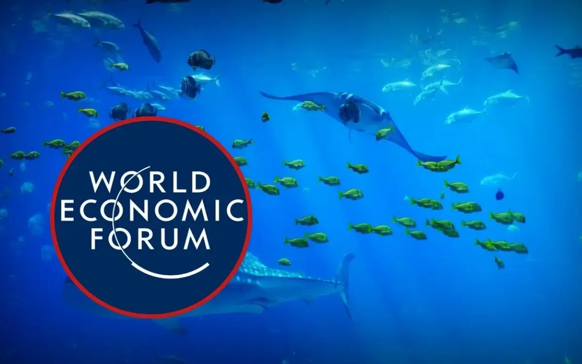 "La secretaria de Medio Ambiente, Alicia Bárcena, en preparación para Davos 2026."