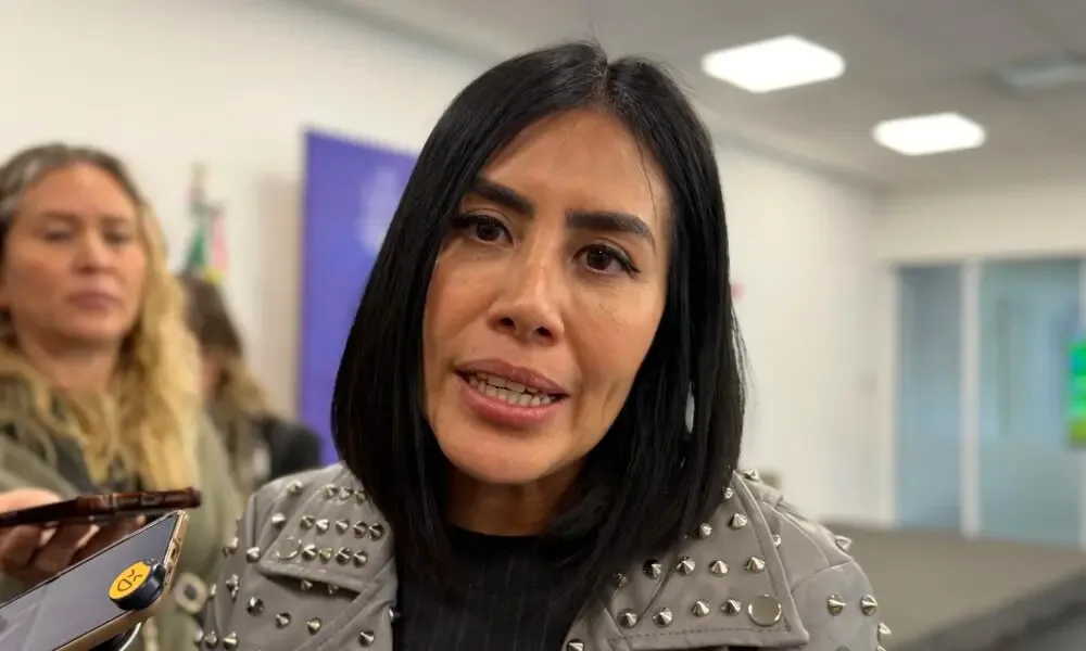 La secretaria del Trabajo, Liliana San Martín Castillo, durante su comparecencia.