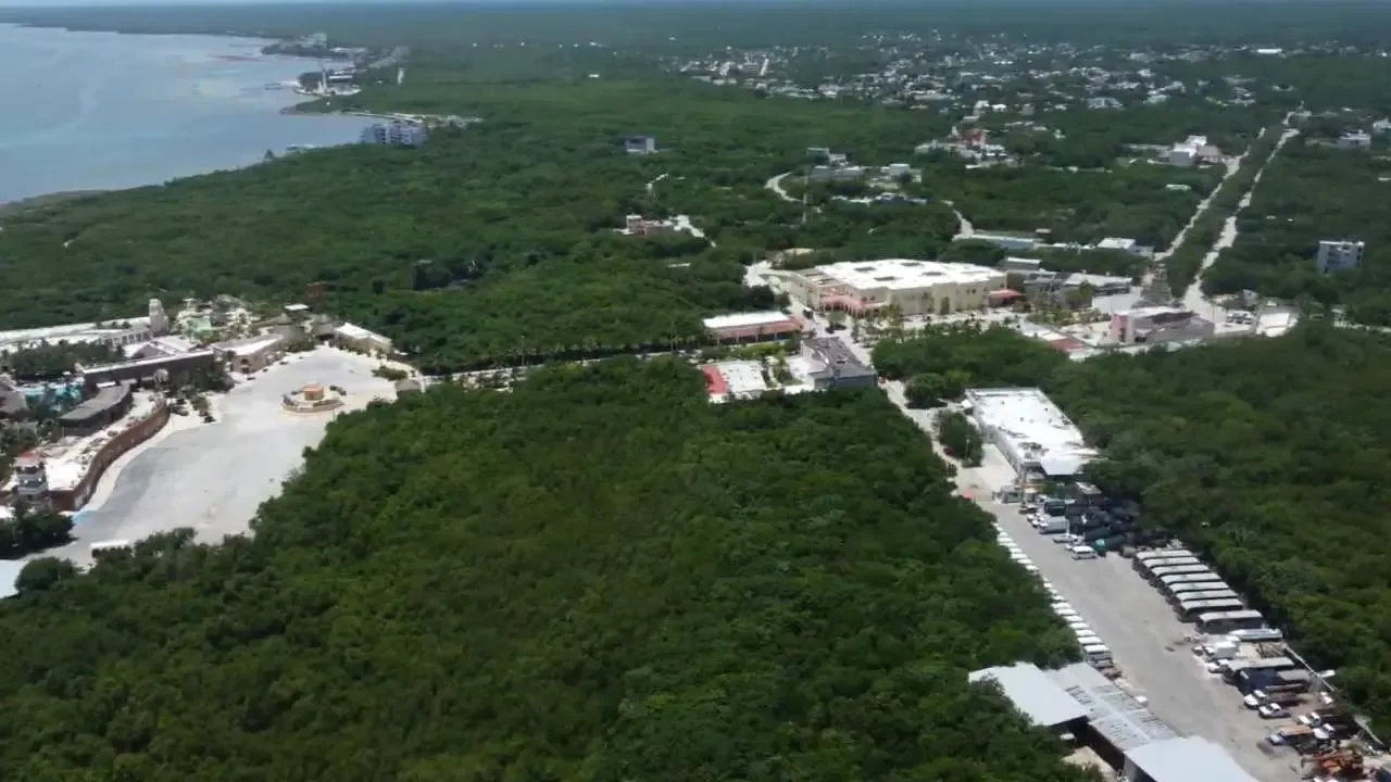 La suspensión judicial bloquea el avance del megaproyecto en Mahahual.