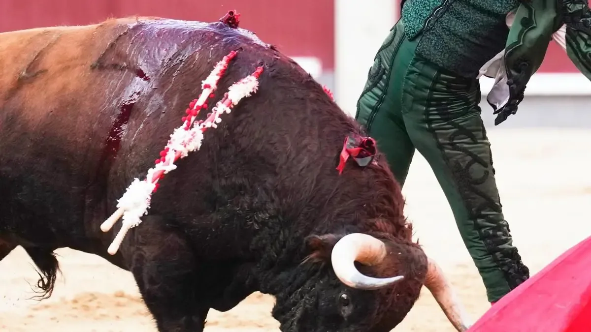 A pesar del rechazo popular, la Comunidad de Madrid sigue apoyando eventos taurinos con fondos públicos.