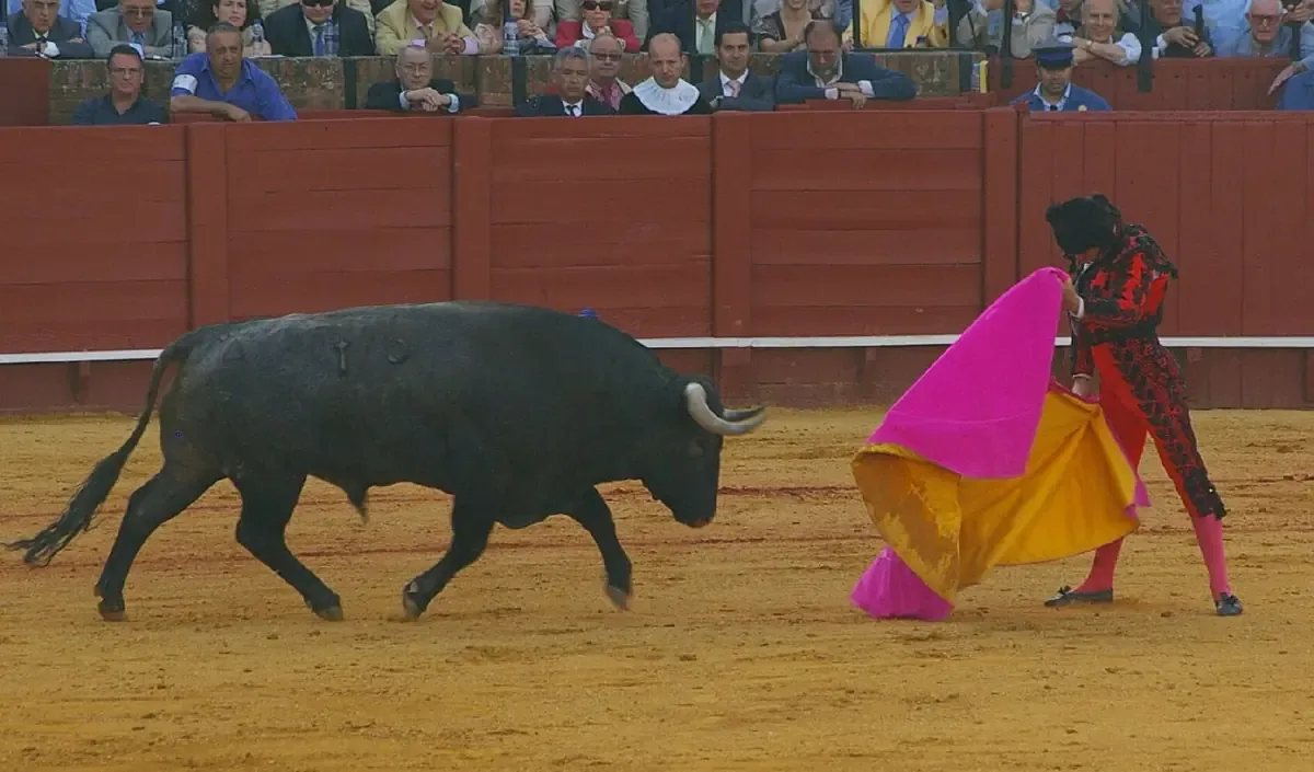 La tauromaquia enfrenta duras críticas tras el incidente que resalta riesgos en la arena.