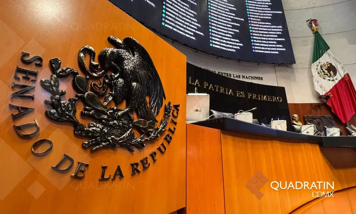 La vicecoordinadora del PT, Geovanna Bañuelos, durante una conferencia de prensa.