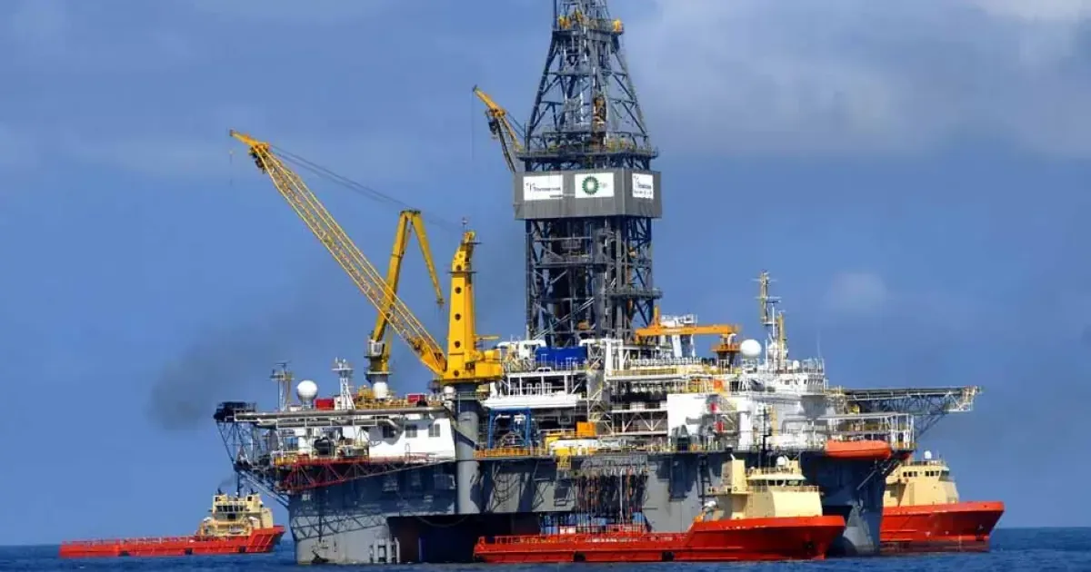 Investigadores analizan el impacto permanente en las poblaciones marinas tras el derrame de la plataforma Deepwater Horizon.