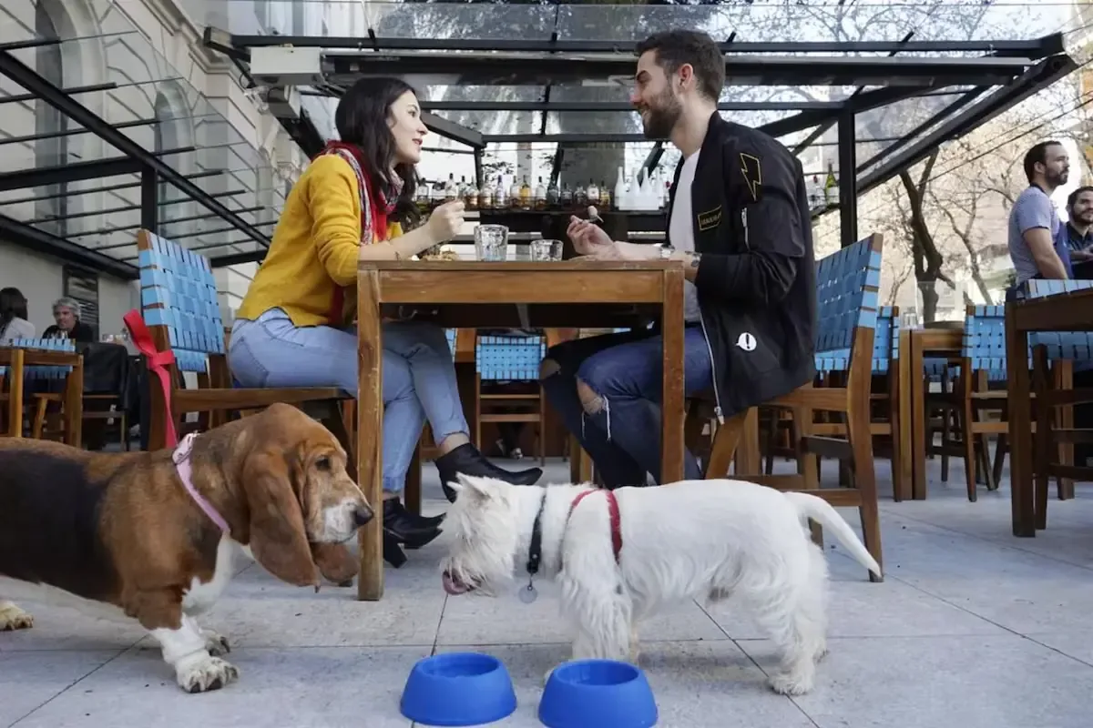La vida urbana se adapta a las necesidades de los animales de compañía con más espacios y servicios.