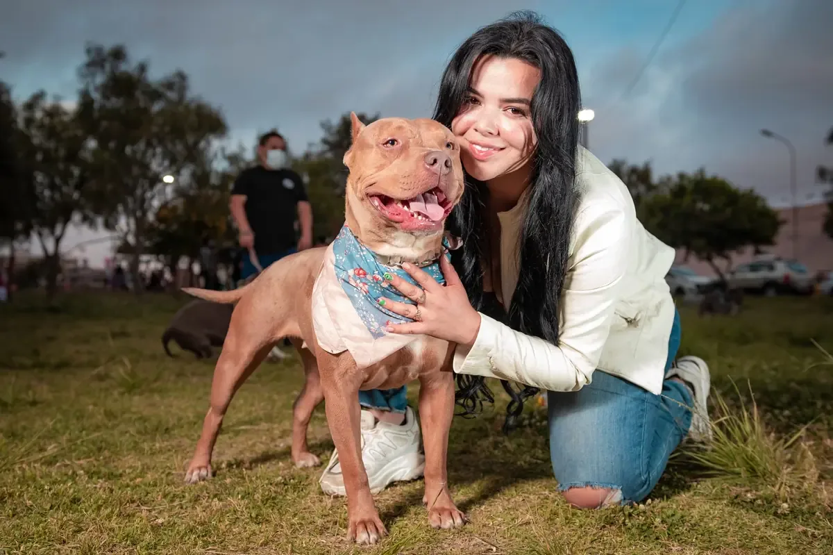 El bienestar de las mascotas requiere un compromiso de las familias y apoyo a iniciativas de rescate.