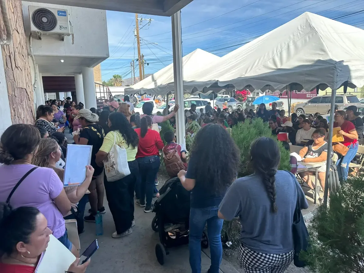 La creciente demanda por la Tarjeta Violeta ha llevado a cientos a esperar largas horas bajo el sol.