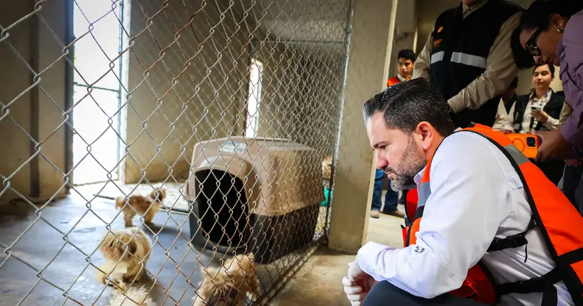 Las autoridades actuaron tras denuncias ciudadanas sobre maltrato animal y condiciones deficientes.
