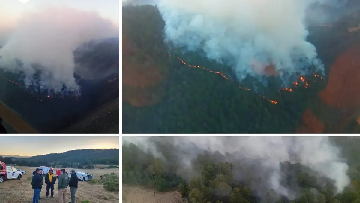 Las autoridades trabajan para controlar el fuego en un plazo estimado de 72 horas, mientras los daños en la región son severos.