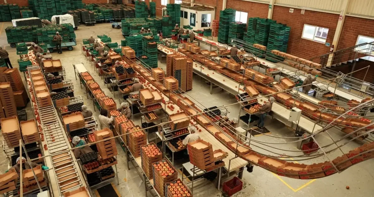 Las exportaciones de México alcanzan un récord histórico en 2025.
