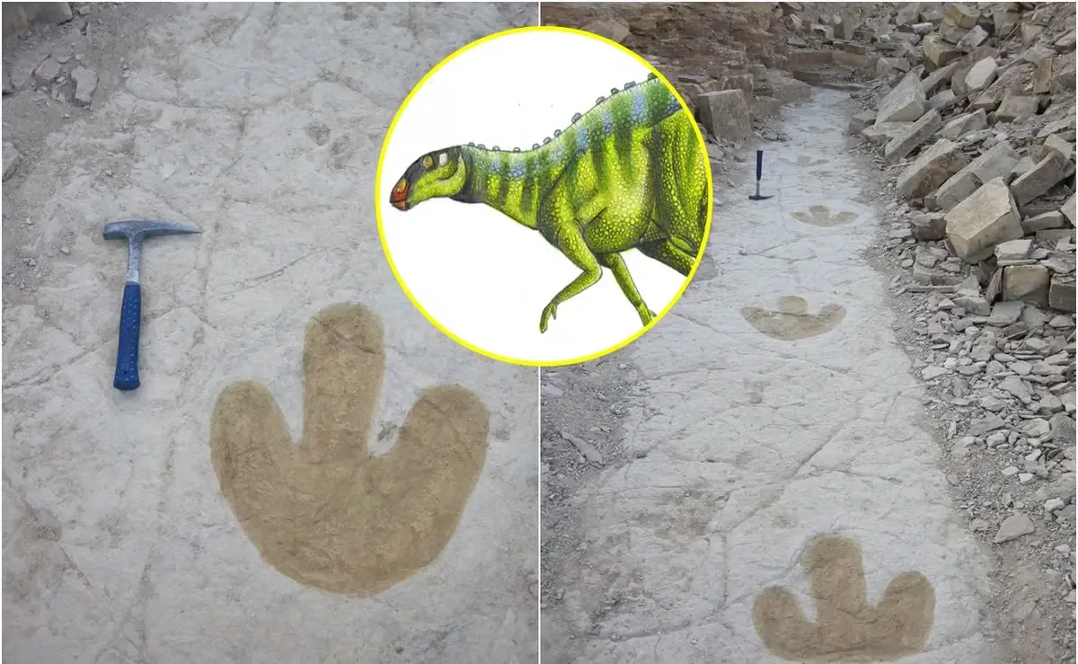 Las huellas de dinosaurios en Tlaxiaco ofrecen valiosa información sobre la biodiversidad del Jurásico en México.
