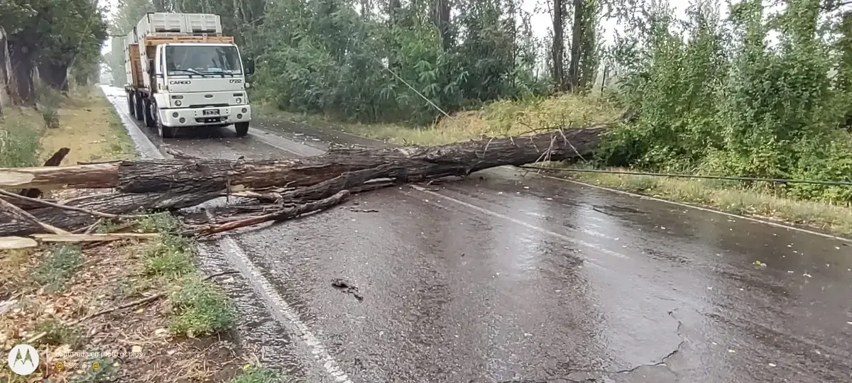 Las intensas lluvias y granizo han causado daños en varias localidades de la región.