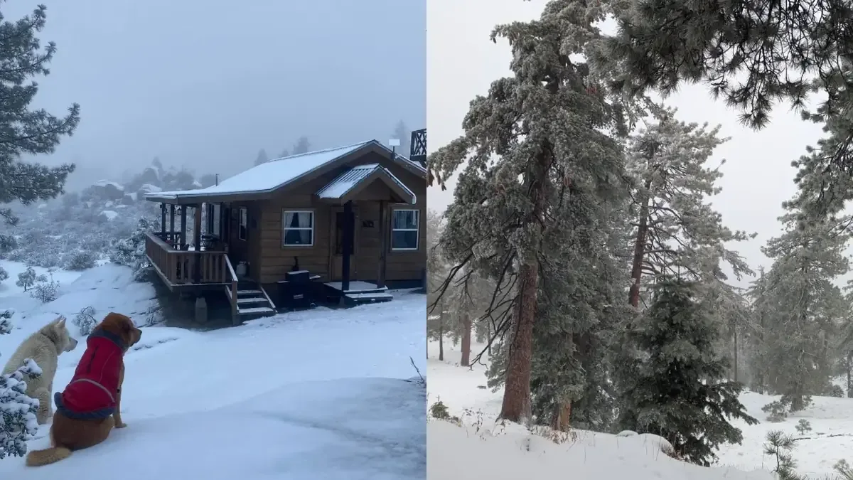 Las nevadas han provocado que las montañas de Baja California se vean completamente blancas, afectando diferentes regiones del estado.