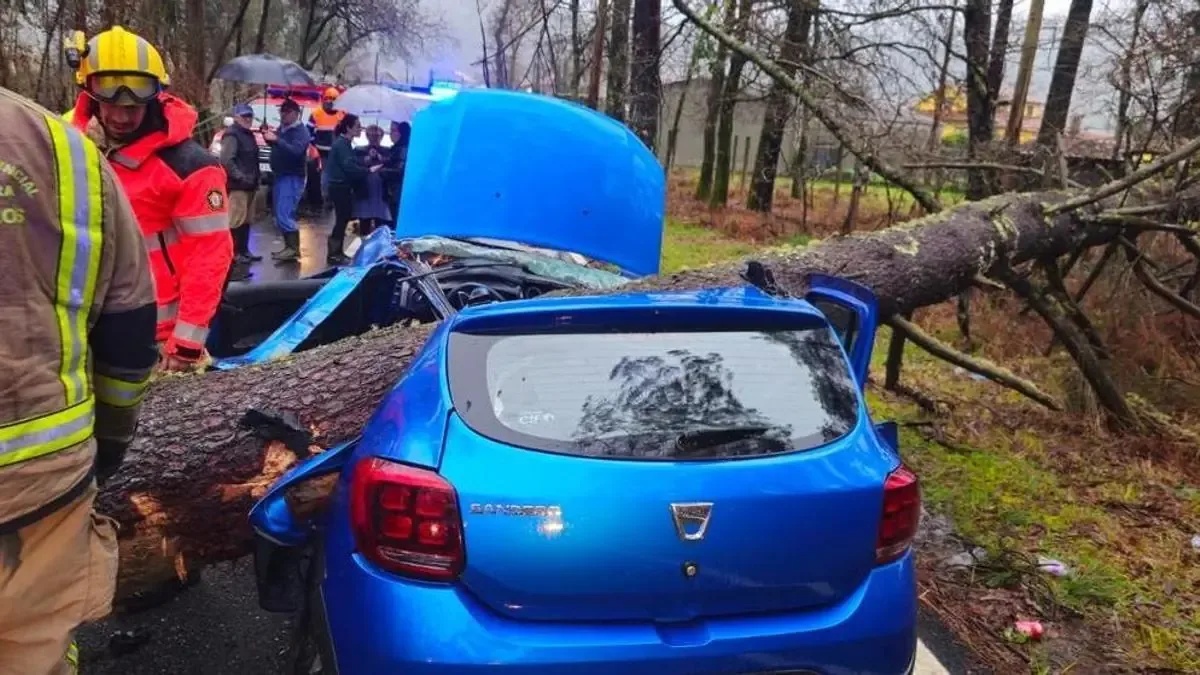 Las rachas de viento de hasta 90 km/h ocasionan incidentes y cortes en el tráfico en la región.