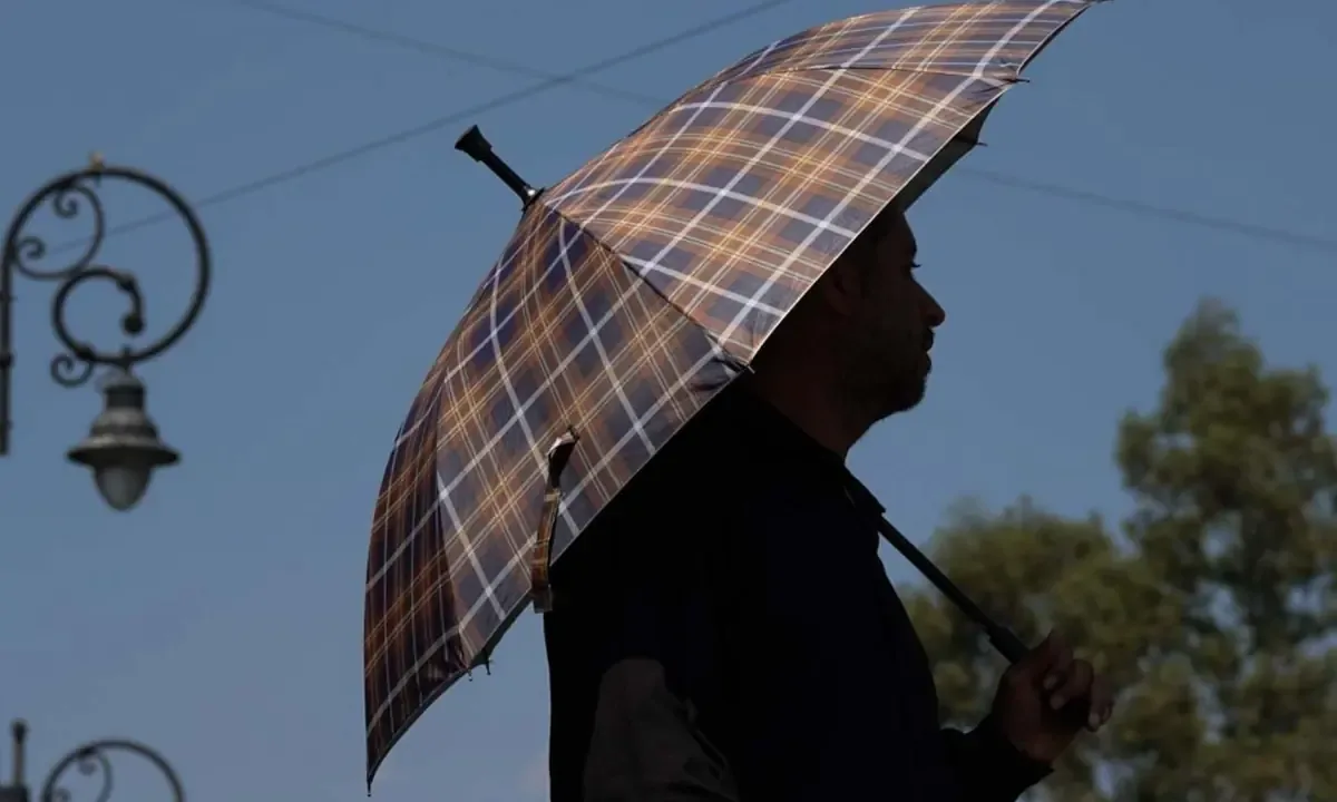 Las temperaturas alcanzarán valores alarmantes en diversas zonas del país, afectando la salud y el medio ambiente.