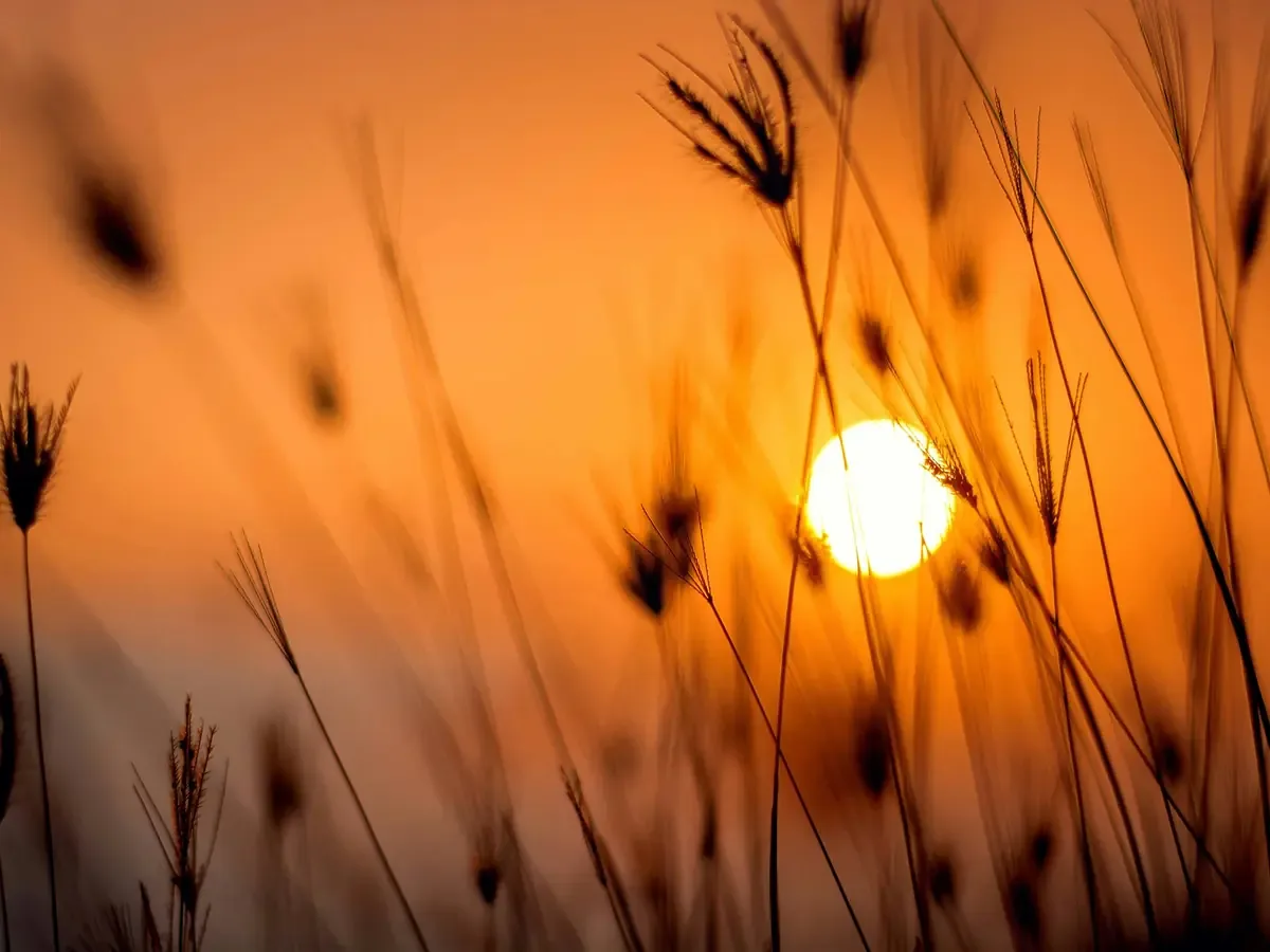Las temperaturas en Mazatlán alcanzarán los 27°C sin probabilidades de lluvia.
