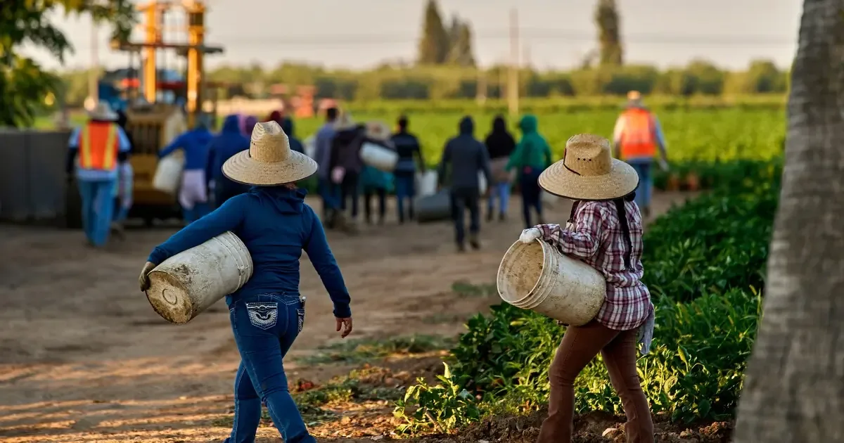 Las trabajadoras del campo luchan contra el abuso sexual y revelan el legado de Chávez.