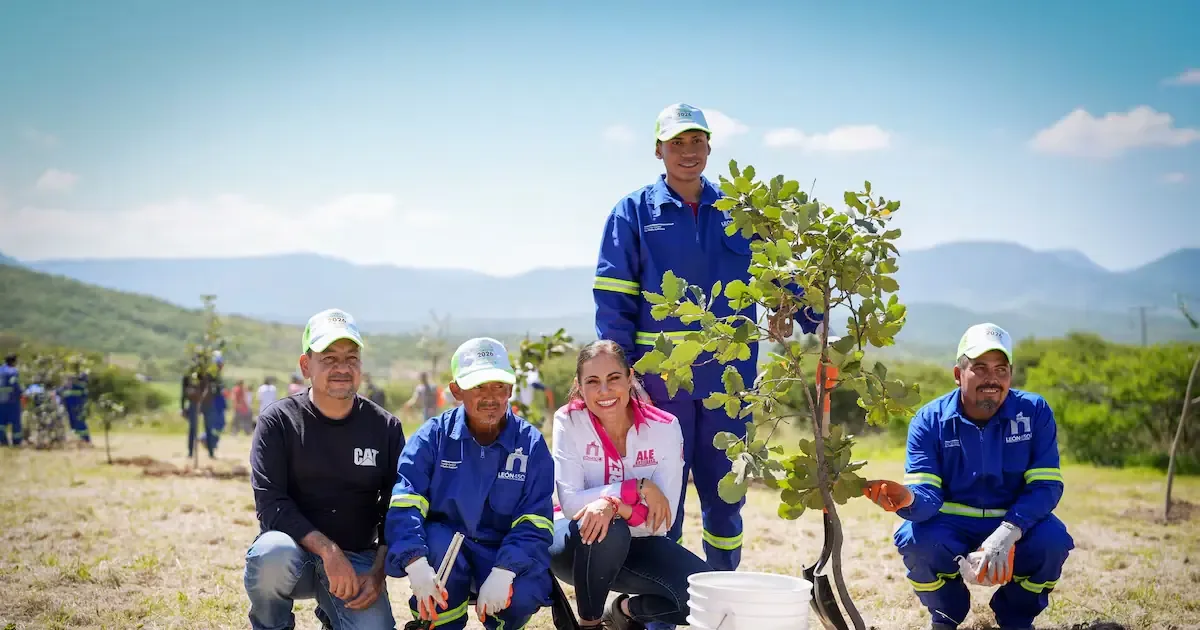 La reforestación en Sierra de Lobos se suma a la meta de plantar 100 mil árboles en 2026.