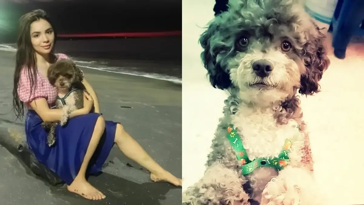 La historia de Lenny ha conmovido al mundo por su acto de amor hacia su mascota.
