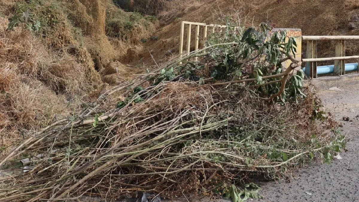 Limpieza de arroyos en Purísima del Rincón realizada por Servicios Públicos.