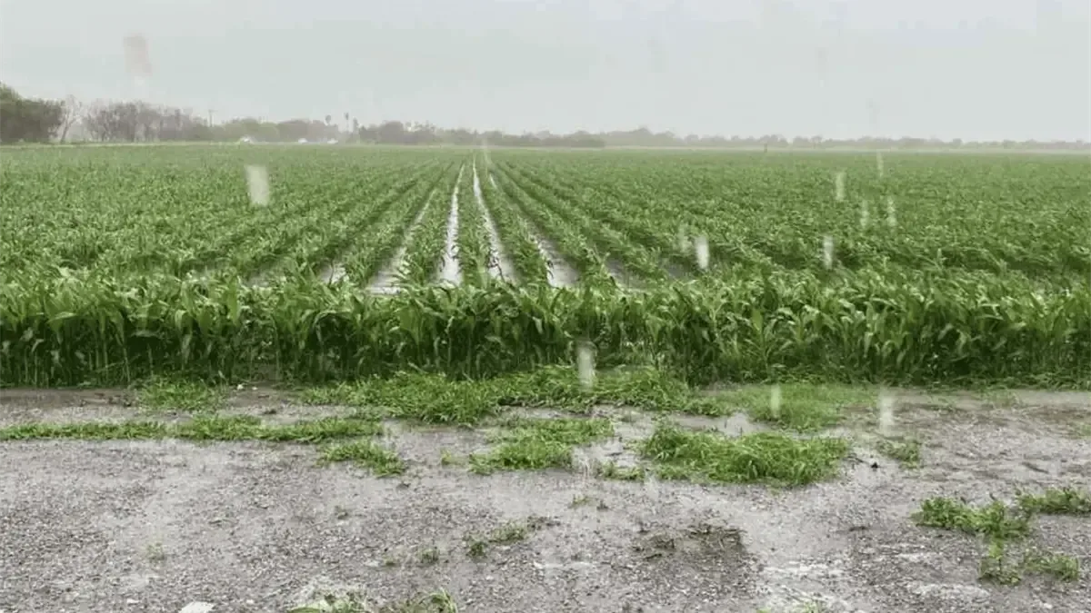Las condiciones meteorológicas generan inundaciones y complican el tránsito en el norte del estado.