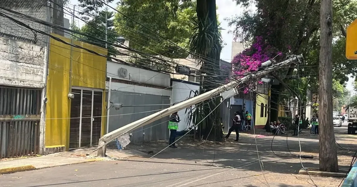 La caída de un árbol en Coyoacán dejó sin luz a varios vecinos tras intensas lluvias.