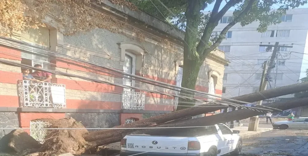 Las intensas lluvias del jueves generaron diversas afectaciones en la capital, incluyendo árboles caídos y encharcamientos.