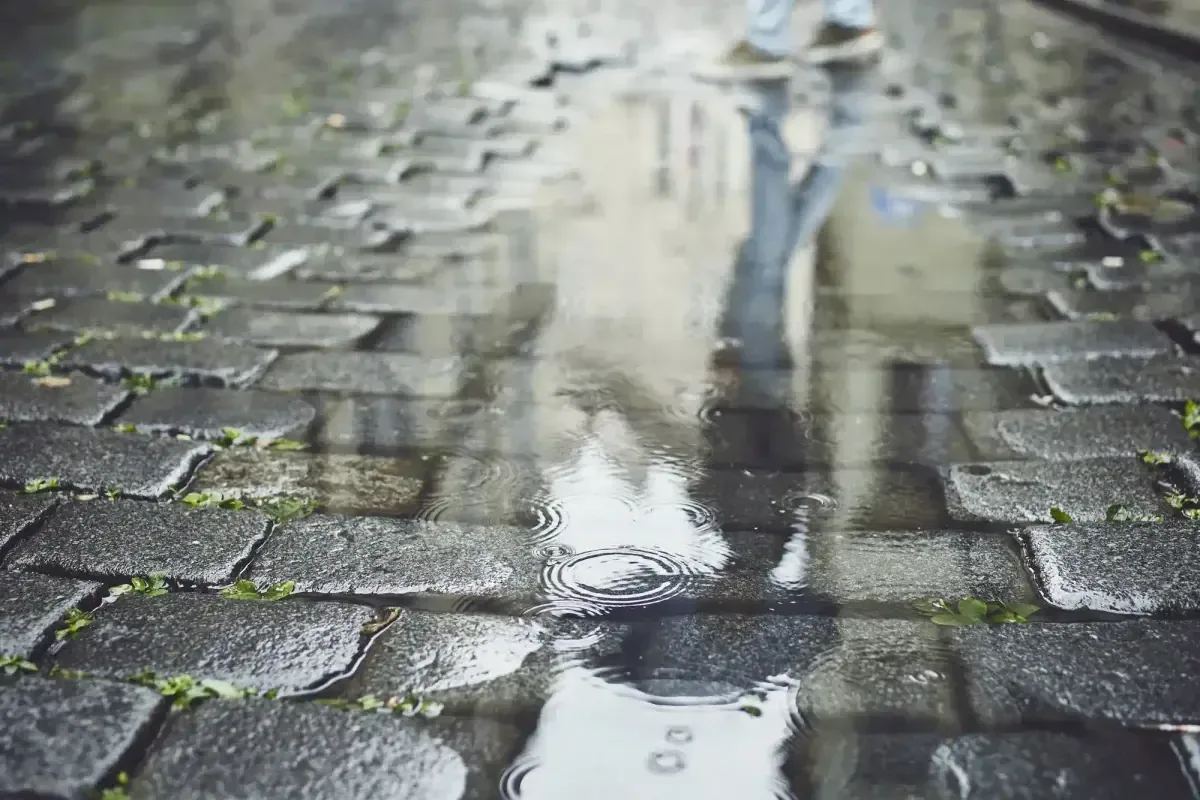 Se pronostican lluvias intensas en varias entidades del país debido a las ondas tropicales que se aproximan.