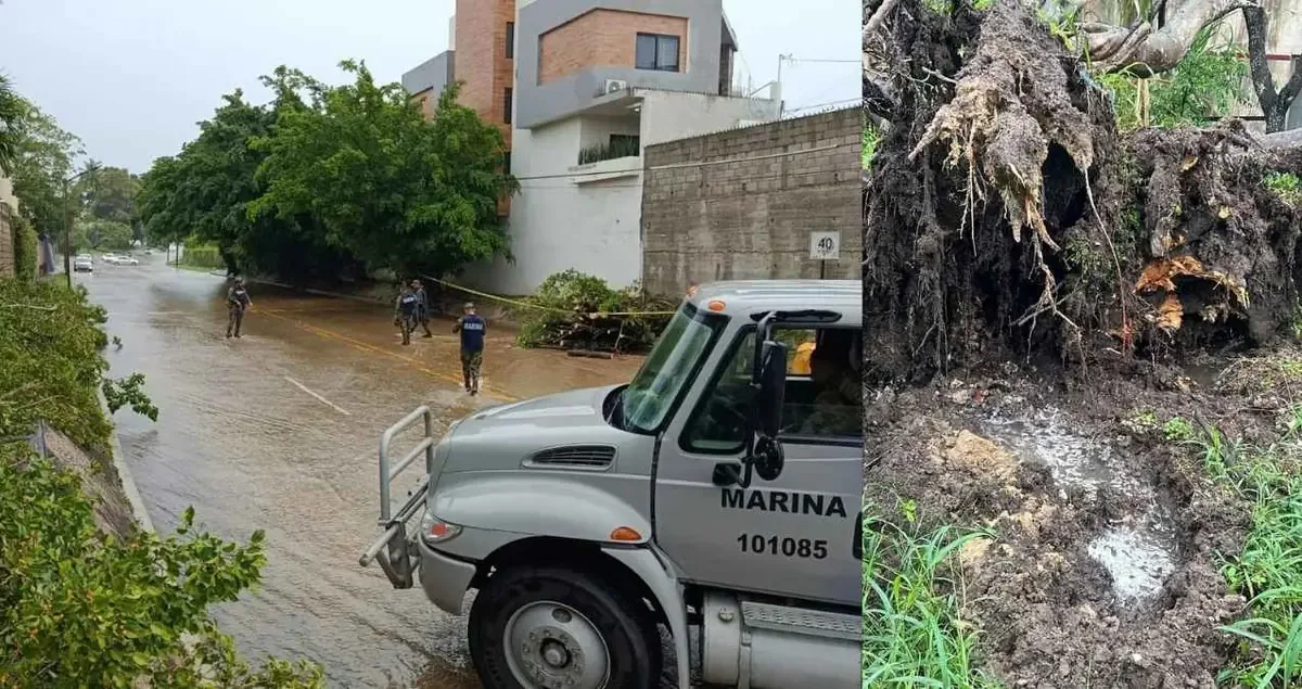 Las fuertes lluvias en Tampico han causado incidentes en diversas colonias y daños en al menos dos casas.
