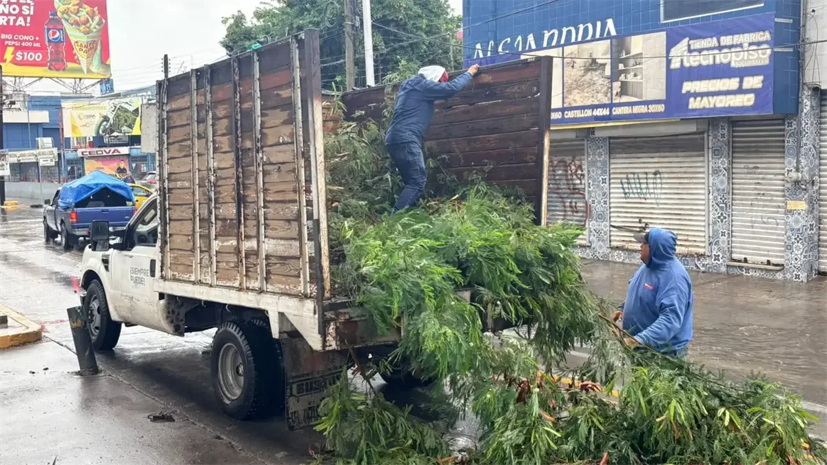 Las autoridades piden a la ciudadanía evitar zonas de riesgo tras las fuertes lluvias.