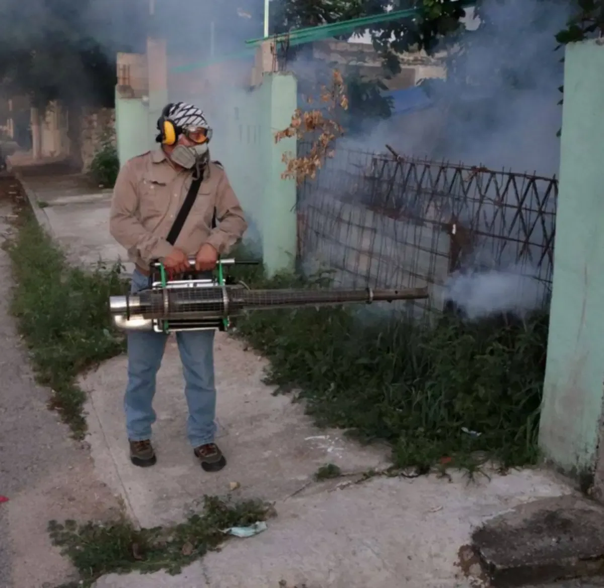 Las lluvias en Yucatán favorecen la proliferación de varios tipos de mosquitos, con el “Aedes aegypti” como el más preocupante.