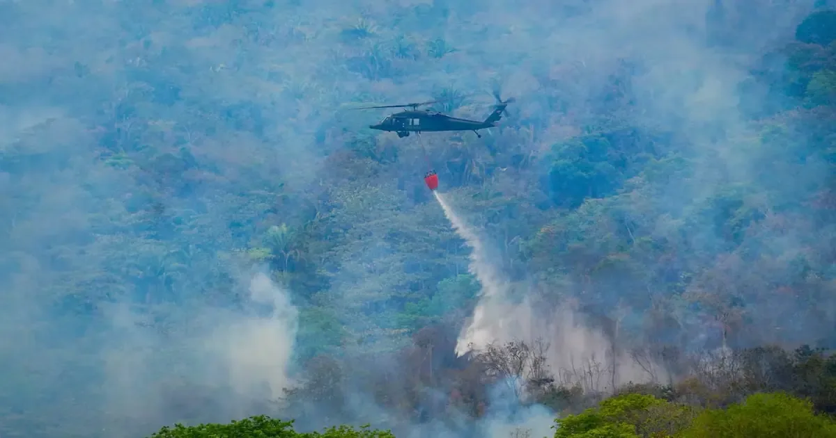 La llegada de la lluvia es una esperanza tras los incendios forestales en el Tolima.