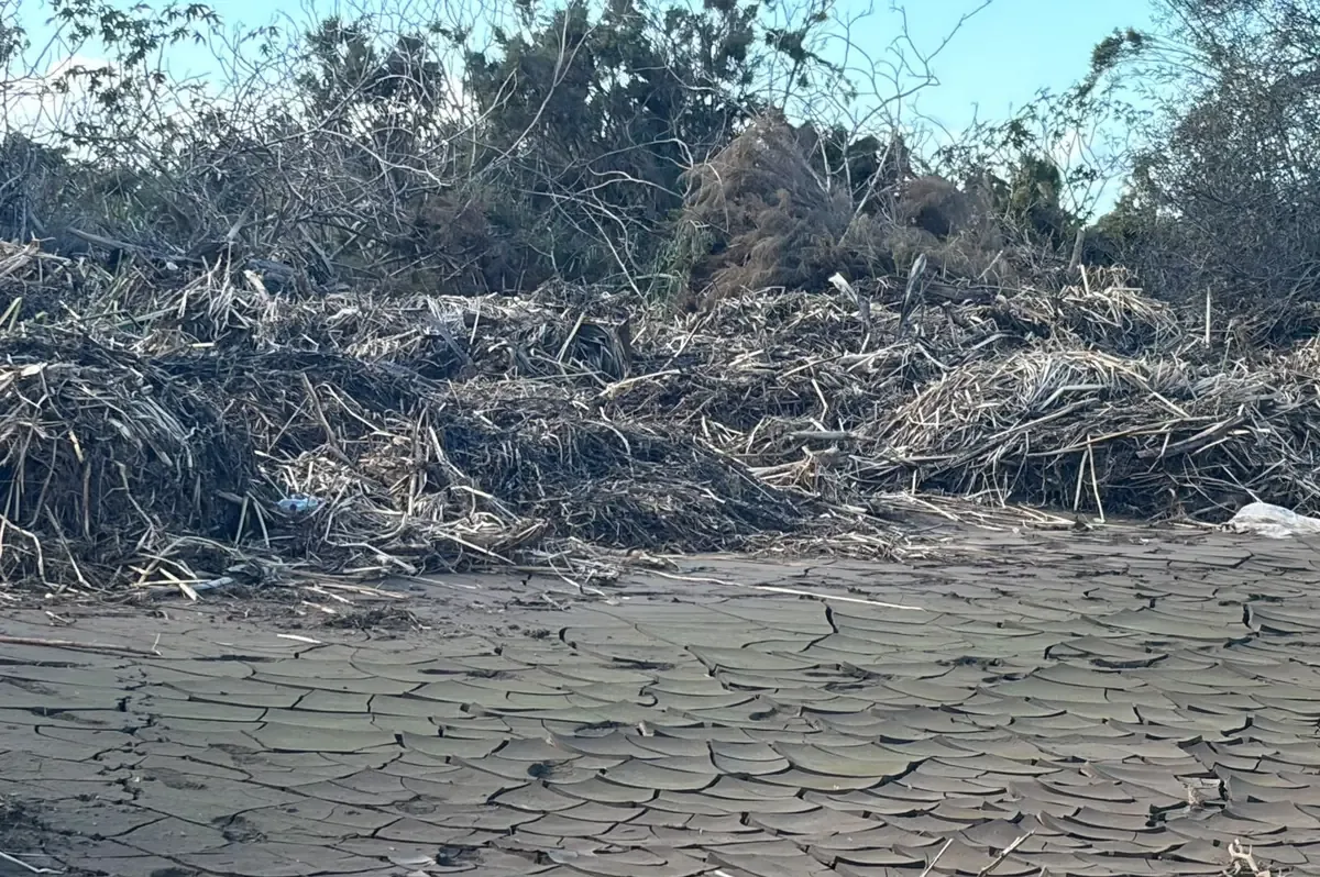 Un grupo de ciudadanos reportó la ubicación del cuerpo en un arroyo cerca del Estero de Punta Banda.