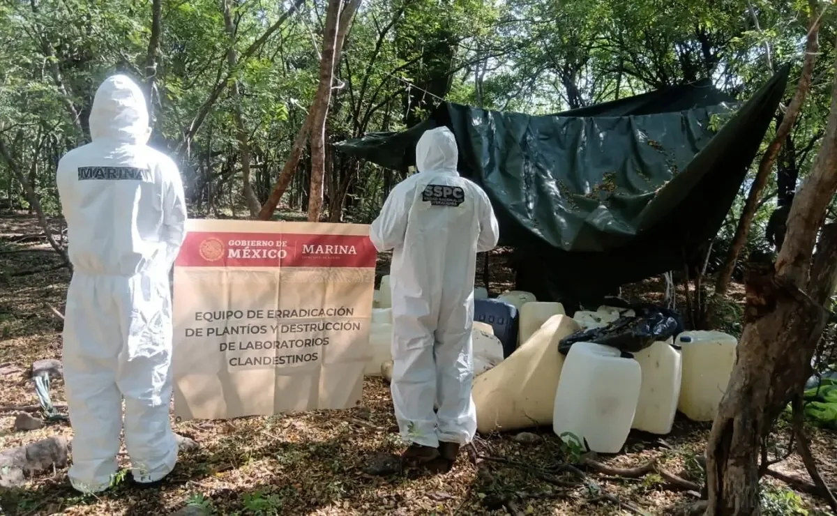 La intervención busca frenar la producción de metanfetamina en Sinaloa y garantizar la seguridad pública.