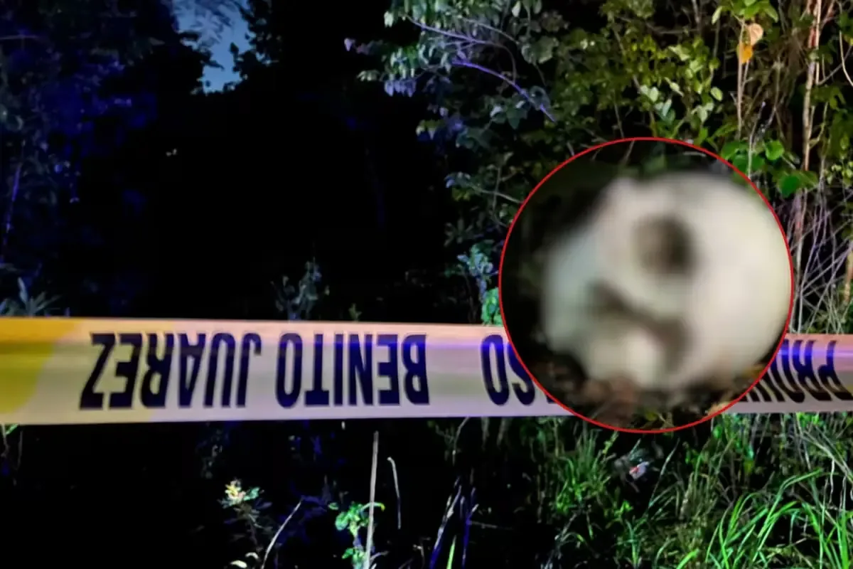Un operativo de búsqueda derivó en el hallazgo de un cráneo con aparentes huellas de violencia en Cancún.