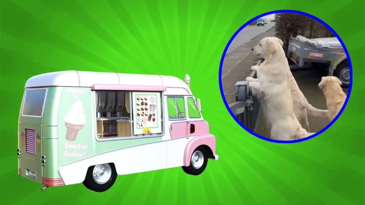 Los adorables perros emocionan a millones al esperar a su amigo heladero en un tierno clip viral.
