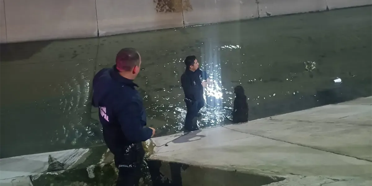 Los agentes salvaron a Tobías, un labrador, y lo devolvieron a su familia.