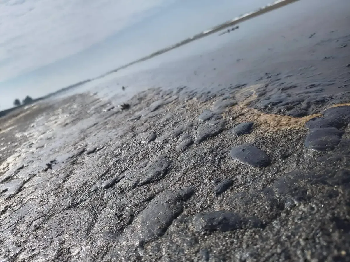 Los análisis satelitales revelan información crítica sobre la contaminación marina.