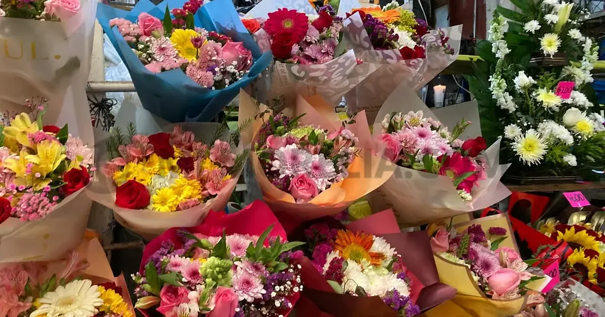 Los comerciantes de Morelia prevén más incrementos en flores para el 14 de febrero.