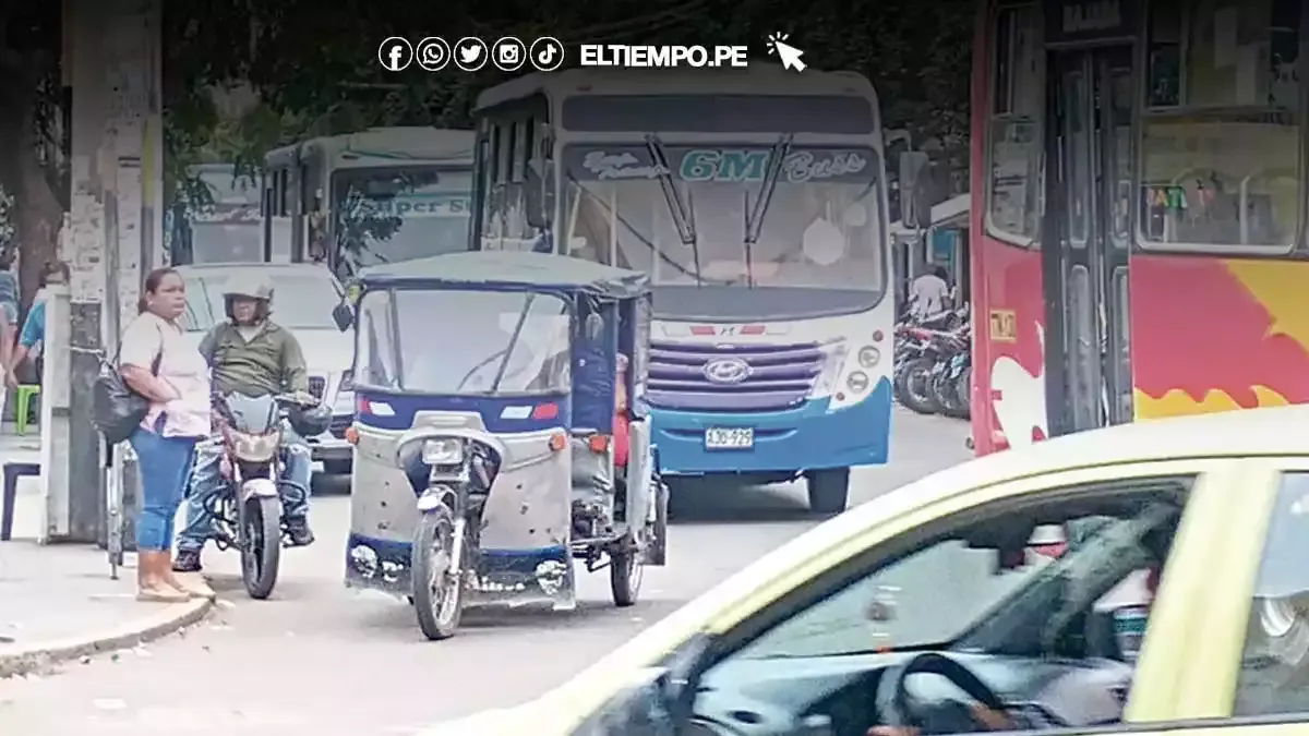 Los concesionarios exigen a la municipalidad operativos contra el transporte informal que compite deslealmente.