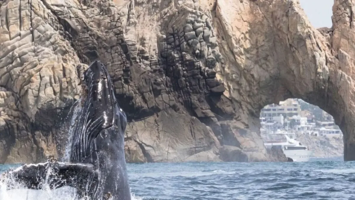 Los habitantes de La Paz disfrutarán de un día agradable con temperaturas moderadas.