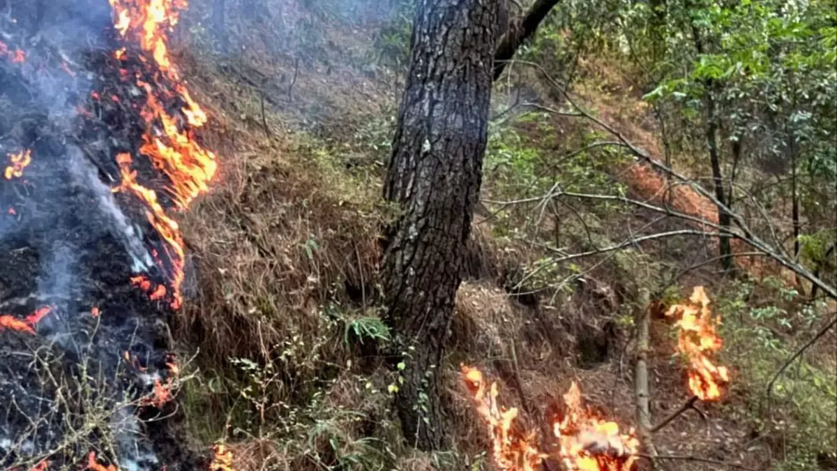 Los incendios en Puebla causan pérdidas humanas y materiales por condiciones climáticas adversas.