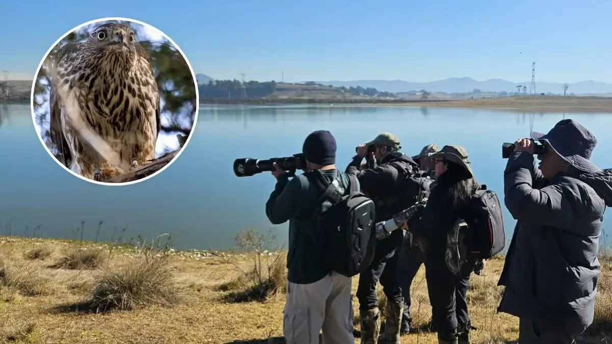 Los interesados en la naturaleza pueden participar en una actividad que fomenta la conciencia ecológica y el aprendizaje.