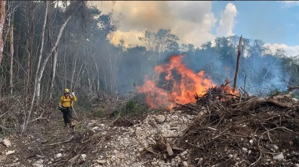 Los meses de marzo a mayo son clave para combatir incendios en la región.