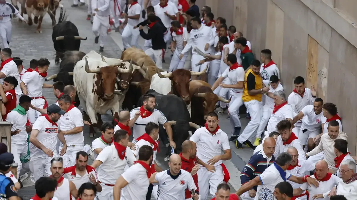 Los veloces toros de Jandilla protagonizan el cierre de las fiestas de San Fermín este martes en Pamplona.