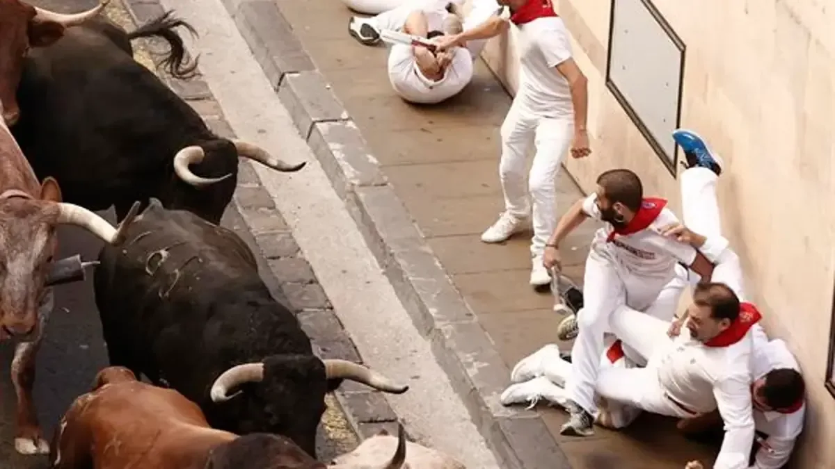 Este año, la ganadería Jandilla se lleva el protagonismo en el encierro final de San Fermín.